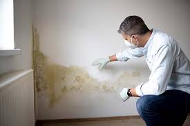 Best Emergency Mold Remediation  in Pleasant Hills, OH